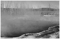 Pools, West Thumb geyser basin. Yellowstone National Park, Wyoming, USA. (black and white)