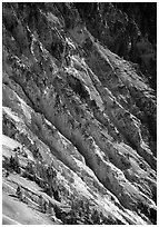 Canyon slopes, Grand Canyon of Yellowstone. Yellowstone National Park ( black and white)