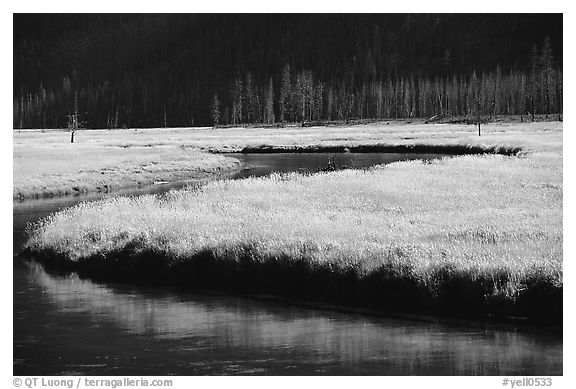 Yellowstone River and meadow in fall. Yellowstone National Park, Wyoming, USA.