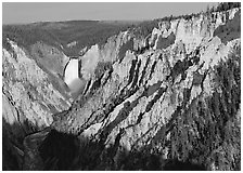 Wide view of Grand Canyon of the Yellowstone, morning. Yellowstone National Park ( black and white)