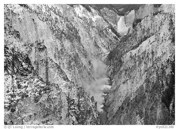 Grand Canyon of Yellowstone and Lower Falls. Yellowstone National Park (black and white)