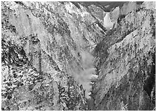 Grand Canyon of Yellowstone and Lower Falls with snow dusting. Yellowstone National Park, Wyoming, USA. (black and white)