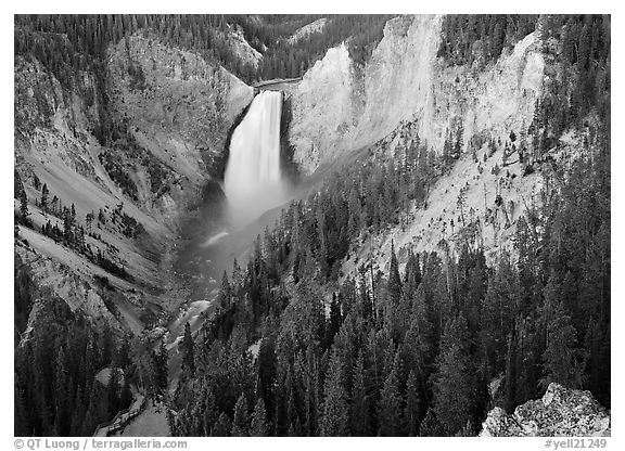 Canyon and Lower Falls of the Yellowstone river. Yellowstone National Park (black and white)