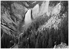 Canyon and Lower Falls of the Yellowstone river. Yellowstone National Park ( black and white)