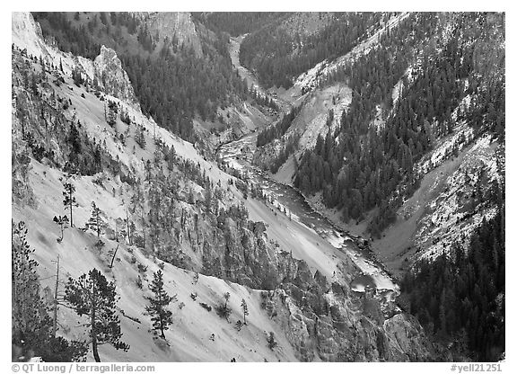 River and Walls of the Grand Canyon of Yellowstone, dusk. Yellowstone National Park (black and white)