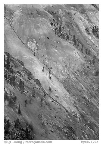Colorful wall of the Grand Canyon of Yellowstone. Yellowstone National Park (black and white)