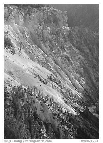 Slopes of Grand Canyon of the Yellowstone. Yellowstone National Park (black and white)