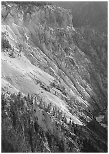 Slopes of Grand Canyon of the Yellowstone. Yellowstone National Park ( black and white)