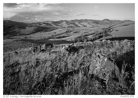 Rocks and grasses on Specimen ridge, late afternoon. Yellowstone National Park (black and white)