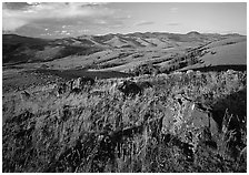 Rocks and grasses on Specimen ridge, late afternoon. Yellowstone National Park ( black and white)