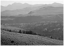 Absaroka Range from Dunraven Pass, early morning. Yellowstone National Park, Wyoming, USA. (black and white)