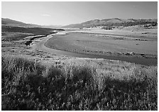 Meadow and river in wide Lamar Valley. Yellowstone National Park, Wyoming, USA. (black and white)