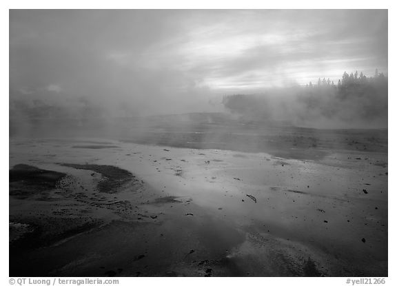 Steam in Norris Geyser Basin at dawn. Yellowstone National Park, Wyoming, USA.