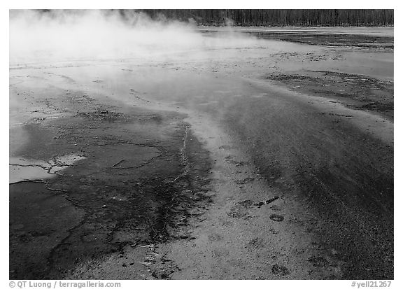 Great prismatic springs, Midway geyser basin. Yellowstone National Park, Wyoming, USA.