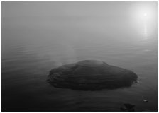 Fishing cone, fog, and sun rising. Yellowstone National Park ( black and white)