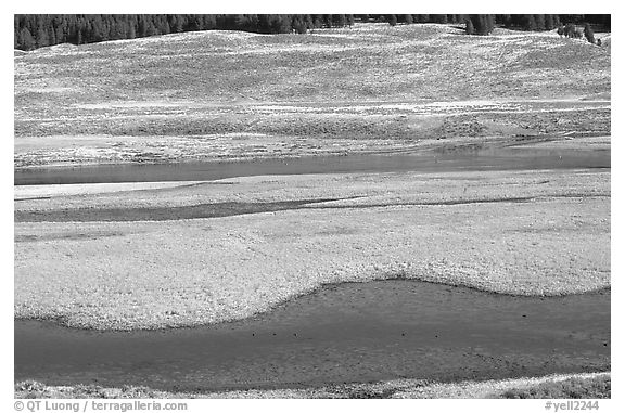 Yellowstone River and meadow in fall. Yellowstone National Park (black and white)