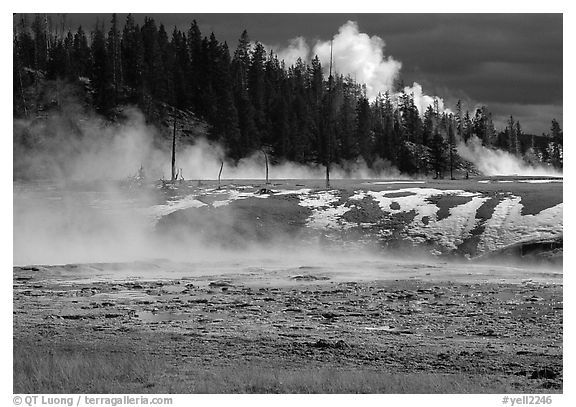 Fumeroles and forest in Upper Geyser Basin. Yellowstone National Park (black and white)