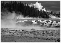 Fumeroles and forest in Upper Geyser Basin. Yellowstone National Park ( black and white)