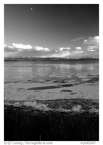 Yellowstone Lake with frozen shores, sunset. Yellowstone National Park (black and white)