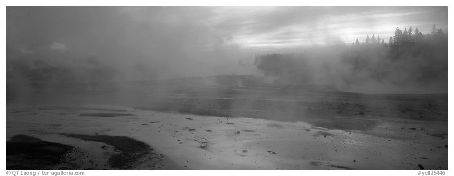 Steam rising in thermal geyser basin a dawn. Yellowstone National Park (black and white)