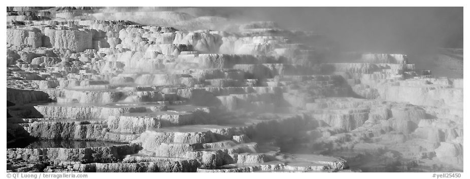 Thermal travertine terraces. Yellowstone National Park (black and white)