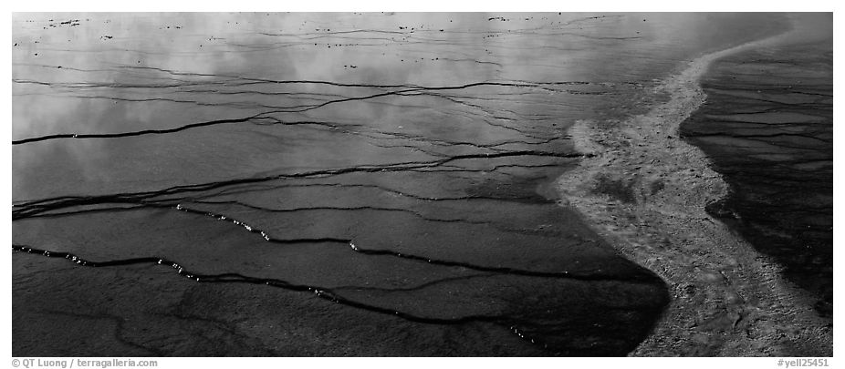 Thermal basin with multi-colored algae. Yellowstone National Park (black and white)