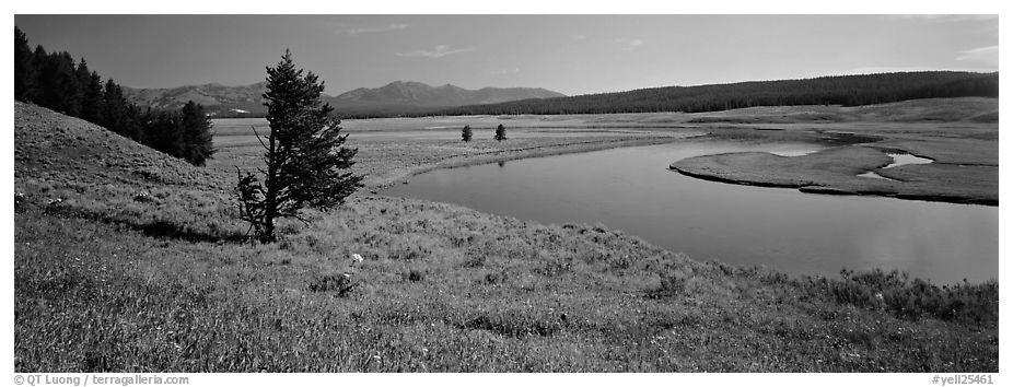 River and verdant meadows. Yellowstone National Park (black and white)