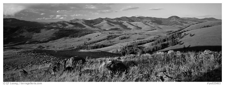 Hills in summer. Yellowstone National Park (black and white)