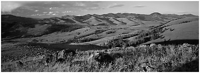 Hills in summer. Yellowstone National Park (Panoramic black and white)