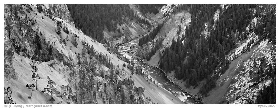 Yellowstone River meandering through canyon. Yellowstone National Park (black and white)