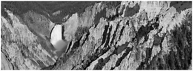 Yellowstone canyon and waterfall. Yellowstone National Park (Panoramic black and white)