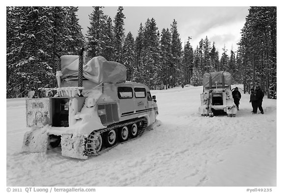 Snowcoaches on snow-covered road. Yellowstone National Park (black and white)