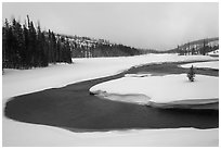 Lewis River valley in winter. Yellowstone National Park ( black and white)