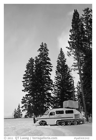 Snowcoach and trees. Yellowstone National Park, Wyoming, USA.