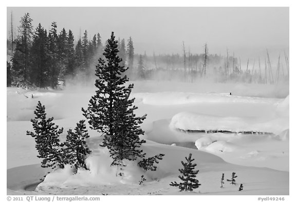 Snow-covered West Thumb thermal basin. Yellowstone National Park (black and white)
