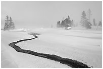 Thermal run-off and snowy landscape. Yellowstone National Park ( black and white)