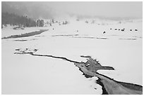 Winter landscape with thermal run-off. Yellowstone National Park ( black and white)