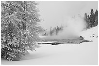 Snowy landscape with distant thermal pool. Yellowstone National Park, Wyoming, USA. (black and white)