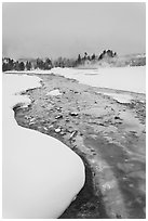 Thermal run-off stream contrasts with snowy landscape. Yellowstone National Park ( black and white)