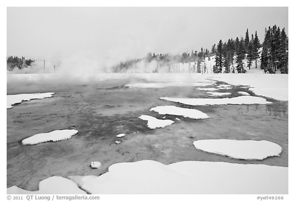 Chromatic Spring in winter. Yellowstone National Park (black and white)