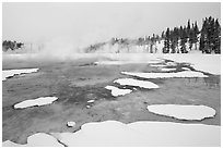 Chromatic Spring in winter. Yellowstone National Park ( black and white)