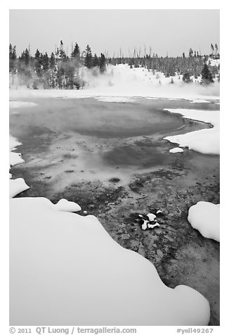 Hot springs and snow, Upper Geyser Basin. Yellowstone National Park (black and white)