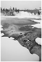 Hot springs and snow, Upper Geyser Basin. Yellowstone National Park, Wyoming, USA. (black and white)