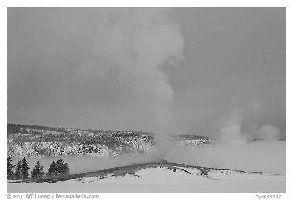Old Faithful geyser plume in winter. Yellowstone National Park, Wyoming, USA.