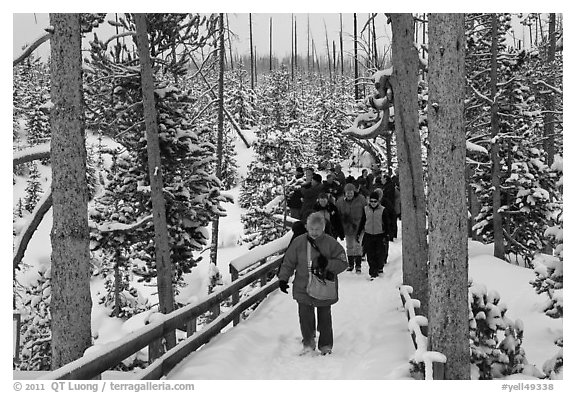Tourists on boardwalk in winter. Yellowstone National Park (black and white)