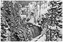 Snowy forest and Kepler Cascades. Yellowstone National Park ( black and white)