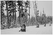 Snowmobilers. Yellowstone National Park, Wyoming, USA. (black and white)