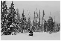 Snowmobiles. Yellowstone National Park ( black and white)