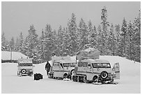 Snowcoaches and snow falling. Yellowstone National Park, Wyoming, USA. (black and white)