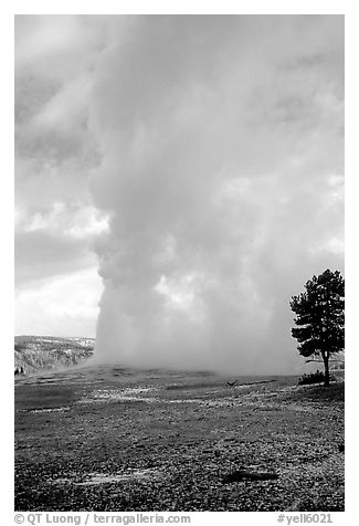 Steam column from Old Faithful Geyser. Yellowstone National Park (black and white)